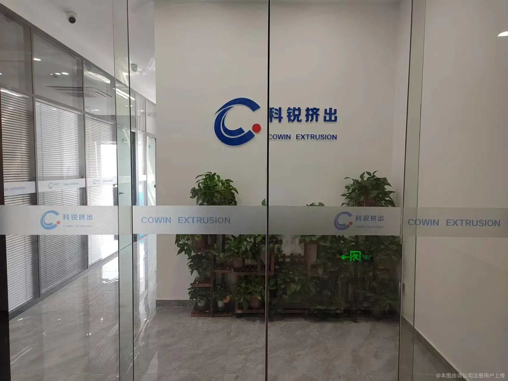 公司介绍